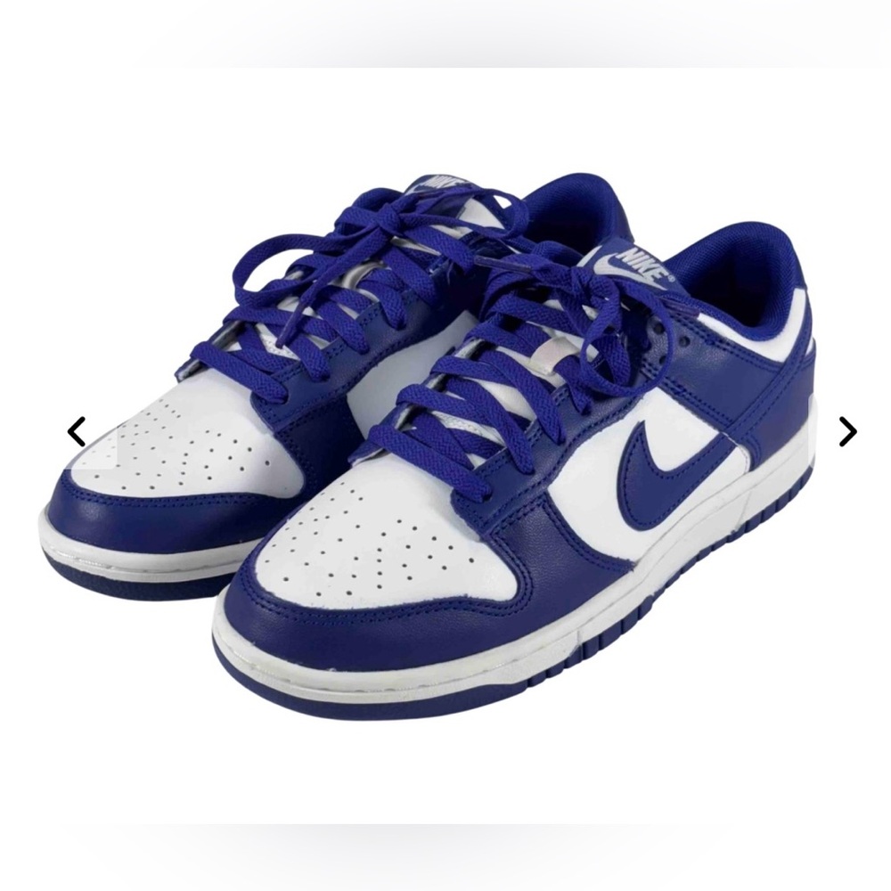 NEW BOXED Nike Men's Concord Dunks